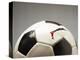 Soccer ball-Paul Taylor-Premier Image Canvas