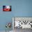 Soccer Football Ball with Chile Flag-daboost-Stretched Canvas displayed on a wall