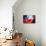 Soccer Football Ball with Chile Flag-daboost-Stretched Canvas displayed on a wall