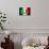 Soccer Football Ball with Italia Flag-daboost-Stretched Canvas displayed on a wall