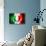 Soccer Football Ball with Italia Flag-daboost-Stretched Canvas displayed on a wall