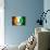 Soccer Football Ball with Ivory Coast Flag-daboost-Stretched Canvas displayed on a wall