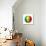 Soccer Football Ball With Senegal Flag-daboost-Stretched Canvas displayed on a wall