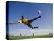 Soccer Player in Action-null-Premier Image Canvas