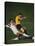 Soccer Players in Action-null-Premier Image Canvas