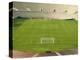 Soccer Stadium and Field-David Madison-Premier Image Canvas