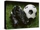 Soccer Still Life-null-Premier Image Canvas