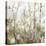 Soft Birch Forest I-Allison Pearce-Stretched Canvas