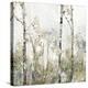 Soft Birch Forest II-Allison Pearce-Stretched Canvas