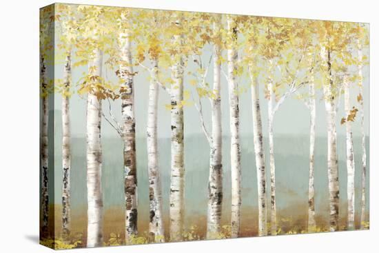 Soft Birch-Allison Pearce-Stretched Canvas
