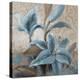 Soft Blue Blooms II-Lanie Loreth-Stretched Canvas