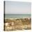 Soft Breeze Shores II-Gail Peck-Stretched Canvas
