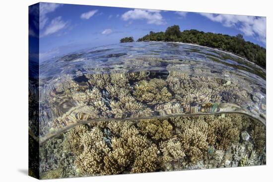 Soft Corals Grow on the Edge of Palau's Barrier Reef-Stocktrek Images-Premier Image Canvas