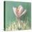 Soft Crocus-Danhui Nai-Stretched Canvas