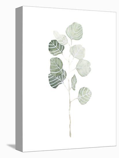 Soft Eucalyptus Branch I-Emma Scarvey-Stretched Canvas