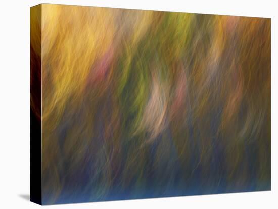 Soft Landscape X-James McLoughlin-Premier Image Canvas