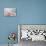 Soft pastel-Heidi Westum-Premier Image Canvas displayed on a wall