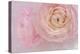 Soft Pink Flower Bouquet-Cora Niele-Premier Image Canvas