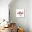 Soft Pink Orchid-Albert Koetsier-Stretched Canvas displayed on a wall