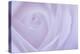 Soft Rose 6-Doug Chinnery-Premier Image Canvas