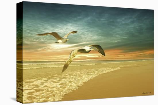 Soft Sunrise on the Beach 6-Carlos Casamayor-Premier Image Canvas