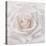 Soft White Rose-Cora Niele-Premier Image Canvas