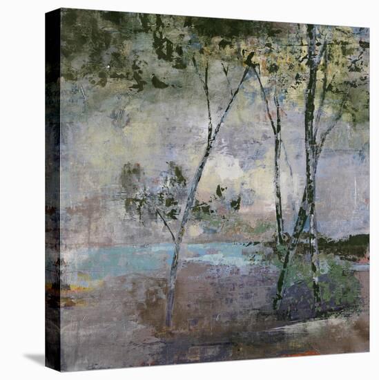 Softened Escape-Alexys Henry-Premier Image Canvas