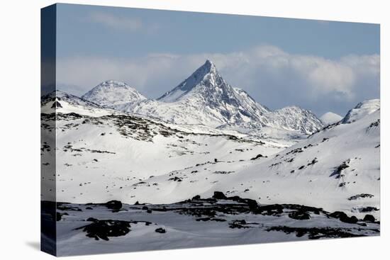 Sognefjell mountains, above Skjolden-Tony Waltham-Premier Image Canvas