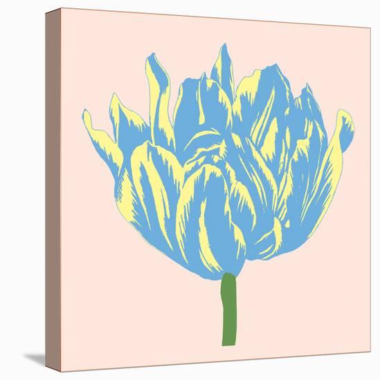 Soho Tulip I-Zachary Alexander-Stretched Canvas