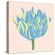 Soho Tulip I-Zachary Alexander-Stretched Canvas