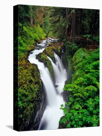 Sol Duc Falls in Olympic National Park, Washington, USA-Chuck Haney-Premier Image Canvas