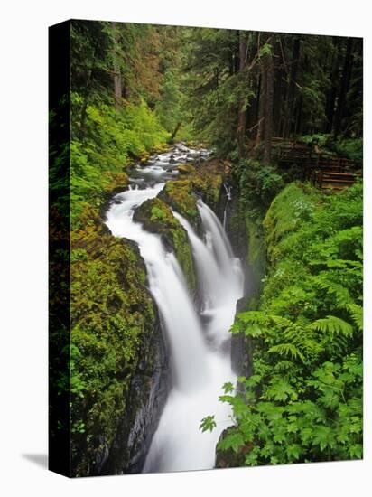 Sol Duc Falls in Olympic National Park, Washington, USA-Chuck Haney-Premier Image Canvas