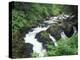 Sol Duc Falls, Olympic Rainforest, Olympic National Park, Washington, USA-Adam Jones-Premier Image Canvas