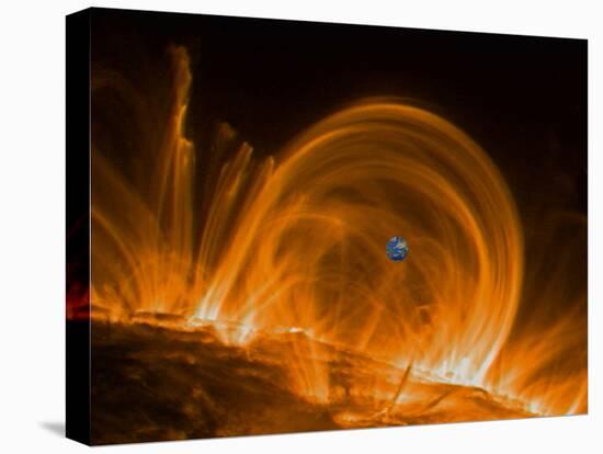 Solar Coronal Loops-null-Premier Image Canvas