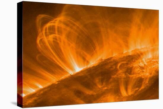 Solar Coronal Loops-null-Premier Image Canvas