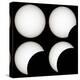 Solar Eclipse-Laurent Laveder-Premier Image Canvas