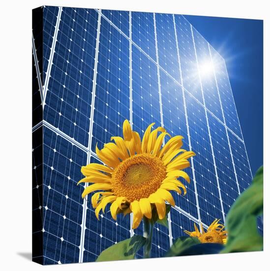 Solar Power, Conceptual Artwork-Detlev Van Ravenswaay-Premier Image Canvas