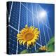 Solar Power, Conceptual Artwork-Detlev Van Ravenswaay-Premier Image Canvas