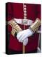 Soldier's Uniform, London, England-Rex Butcher-Premier Image Canvas