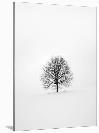 Solitary 1-Design Fabrikken-Premier Image Canvas