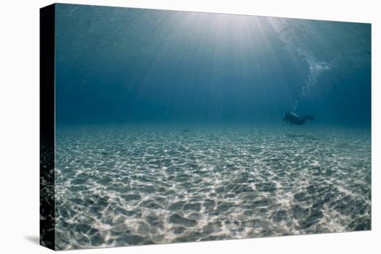 Solitary Scuba Diver in Shallow Sandy Bay, with Sun Beams, Naama Bay-Mark Doherty-Premier Image Canvas