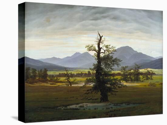 Solitary Tree (Village Landscape in Morning Light), 1822-Caspar David Friedrich-Premier Image Canvas