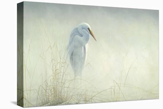 Solitude Egret-Michael Budden-Premier Image Canvas