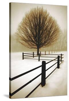 Solitude-David Lorenz Winston-Stretched Canvas