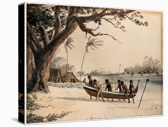 Solomon Islands, 1901-William Twizell Wawn-Premier Image Canvas