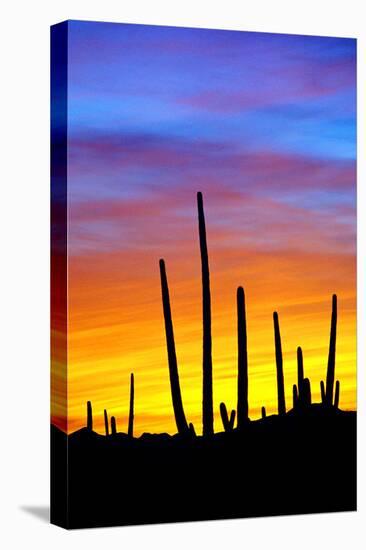 Solstice Sunset-Douglas Taylor-Premier Image Canvas