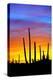 Solstice Sunset-Douglas Taylor-Premier Image Canvas