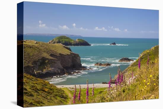 Solva, Pembrokeshire, Wales, United Kingdom-Billy Stock-Premier Image Canvas