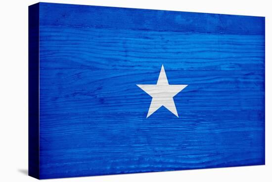 Somalia Flag Design with Wood Patterning - Flags of the World Series-Philippe Hugonnard-Stretched Canvas