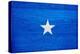 Somalia Flag Design with Wood Patterning - Flags of the World Series-Philippe Hugonnard-Stretched Canvas